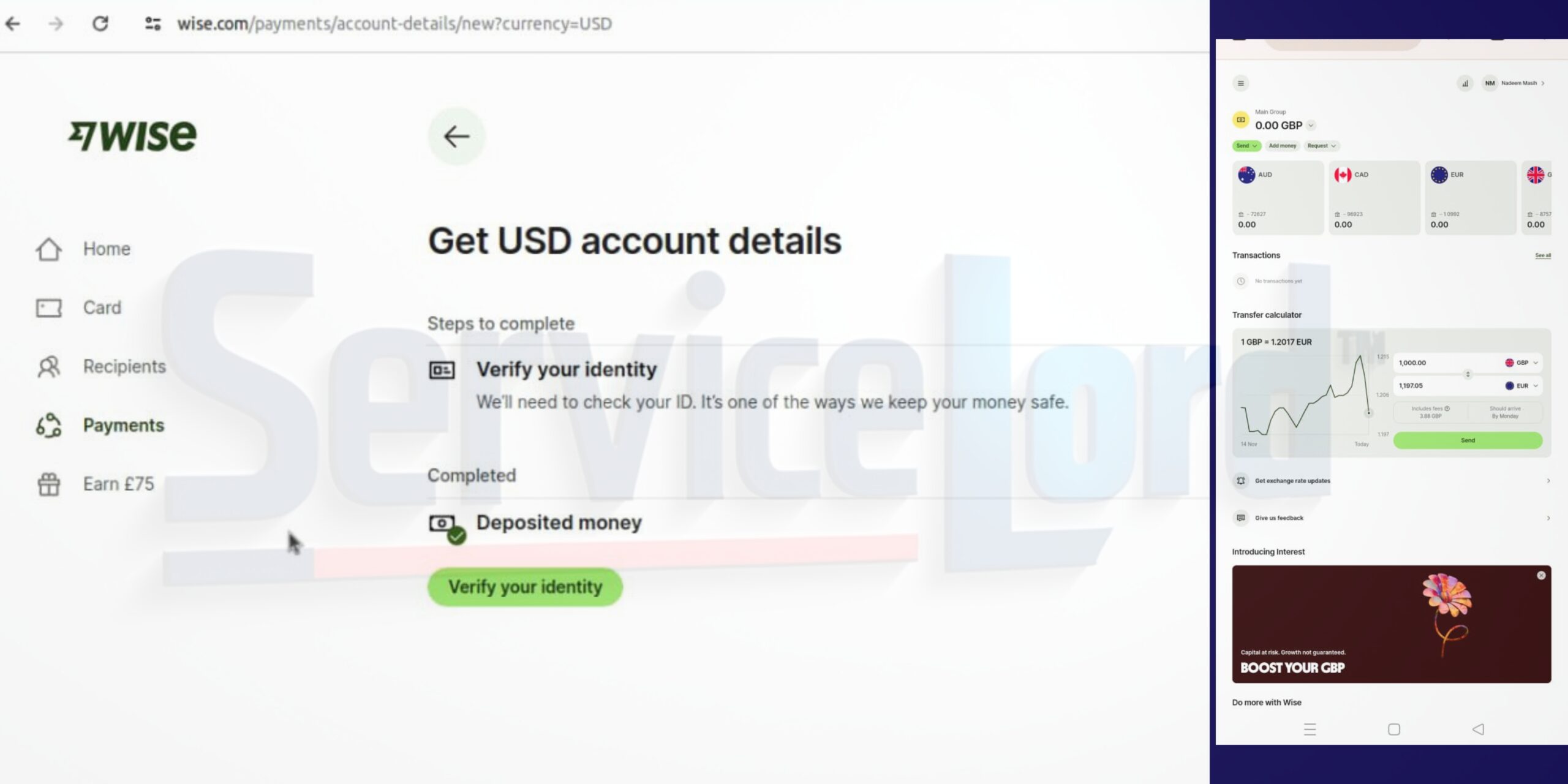 Buy Verified Wise Account